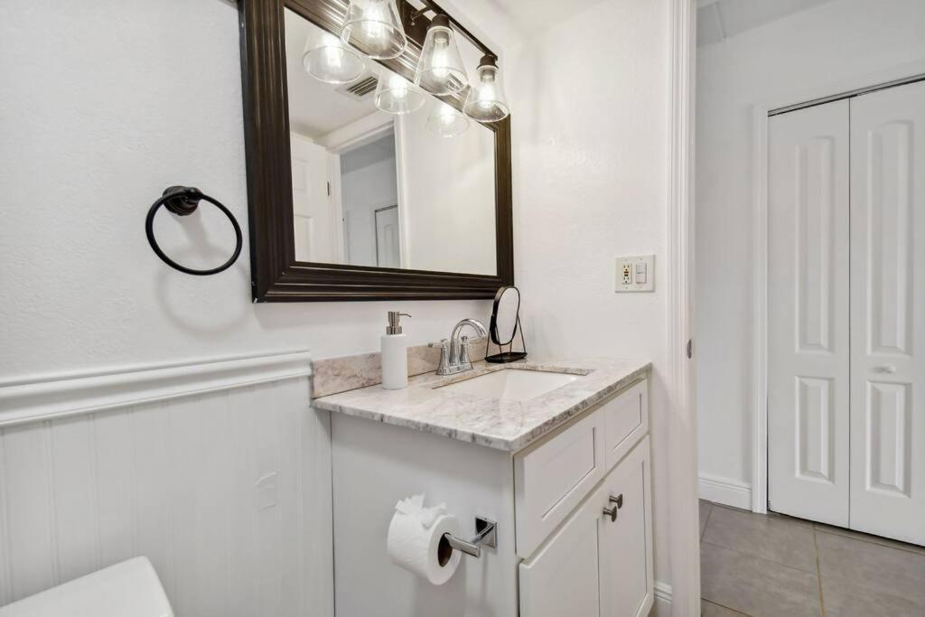 The Tulip By Dny Prime Apartment Tampa